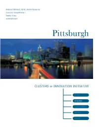 Pittsburgh IT Cluster Is in Universities and Training Institutes, Instruments, Research Organizations, Software Development and Information Security