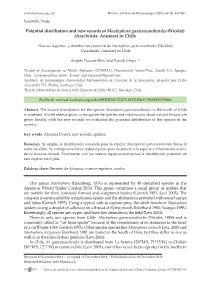 Potential Distribution and New Records of Mastophora Gasteracanthoides (Nicolet) (Arachnida: Araneae) in Chile