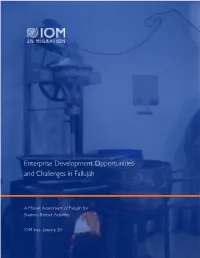 Enterprise Development Opportunities and Challenges in Fallujah