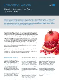 Digestive Enzymes: the Key to Optimum Health