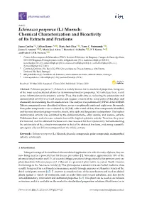 Echinacea Purpurea (L.) Moench: Chemical Characterization and Bioactivity of Its Extracts and Fractions