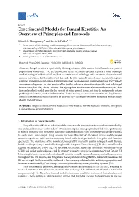 Experimental Models for Fungal Keratitis: an Overview of Principles and Protocols
