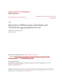 Interactions of Rhizoctonia Solani Kã¼hn and Trichoderma Spp