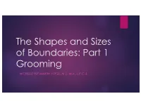 The Shapes and Sizes of Boundaries: Part 1 Grooming