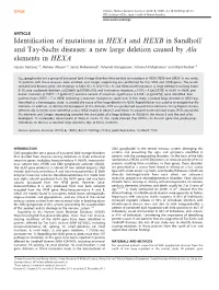 A New Large Deletion Caused by Alu Elements in HEXA