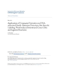 Application of Coumarin Derivatives in DNA