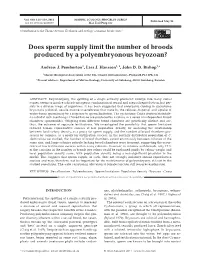 Does Sperm Supply Limit the Number of Broods Produced by a Polyembryonous Bryozoan?