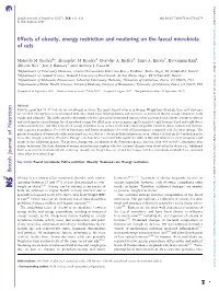Effects of Obesity, Energy Restriction and Neutering on the Faecal Microbiota of Cats
