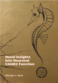 Novel Insights Into Neuronal CAMK2 Function