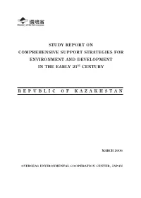 Study Report on Comprehensive Support Strategies for Environment and Development in the Early 21St Century