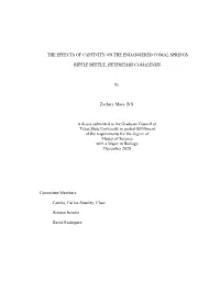THE EFFECTS of CAPTIVITY on the ENDANGERED COMAL SPRINGS RIFFLE BEETLE, HETERELMIS COMALENSIS by Zachary Mays, B.S. a Thesis