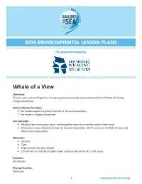 Whale of a View