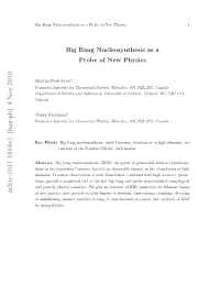 Big Bang Nucleosynthesis As a Probe of New Physics 3