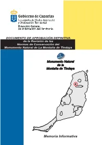Memoria Informativa