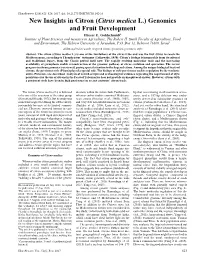 New Insights in Citron (Citrus Medica L.) Genomics and Fruit Development Eliezer E