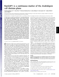 Rangap1 Is a Continuous Marker of the Arabidopsis Cell Division Plane