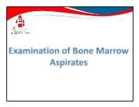 Bone Marrow Aspirate A Bone Marrow Film Should First Be Examined Macroscopically to Make Sure That Particles Or Fragments Are Present