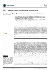 CDT Quantum Toroidal Spacetimes: an Overview