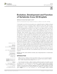 Evolution, Development and Function of Vertebrate Cone Oil Droplets