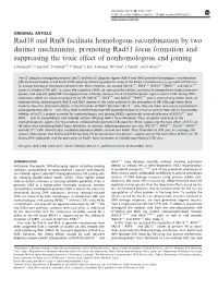 Rad18 and Rnf8 Facilitate Homologous Recombination by Two Distinct Mechanisms, Promoting Rad51 Focus Formation and Suppressing T