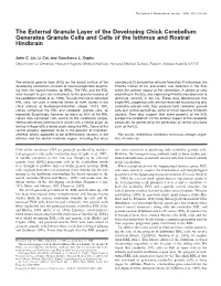 The External Granule Layer of the Developing Chick Cerebellum Generates Granule Cells and Cells of the Isthmus and Rostral Hindbrain