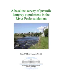 A Baseline Survey of Juvenile Lamprey Populations in the River Feale Catchment