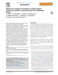 Advances in Image Processing for Single-Particle Analysis by Electron
