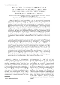 BEHAVIORAL and GENETIC IDENTIFICATION of a HYBRID VIDUA: MATERNAL ORIGIN and MATE CHOICE in a BROOD-PARASITIC FINCH R�G��� B