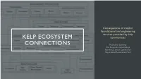 Kelp Ecosystem Connections