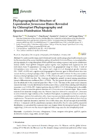 Phylogeographical Structure of Liquidambar Formosana Hance Revealed by Chloroplast Phylogeography and Species Distribution Models