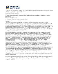 A Revision and Phylogenetic Analysis of Trichrous