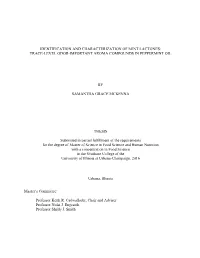 MCKENNA-THESIS-2016.Pdf