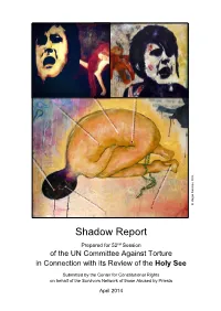 Shadow Report
