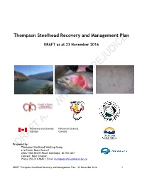 Thompson Steelhead Recovery and Management Plan