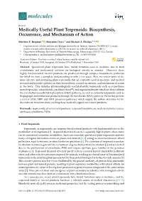 Medically Useful Plant Terpenoids: Biosynthesis, Occurrence, and Mechanism of Action