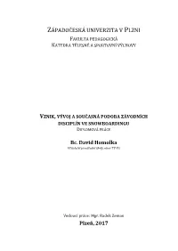 DP Homolka David.Pdf