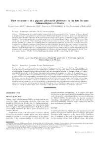 First Occurrence of a Gigantic Pliosaurid Plesiosaur in The