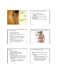 The Endocrine System