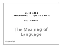The Meaning of Language