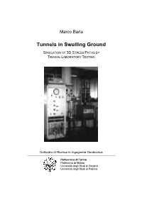 Tunnels in Swelling Ground