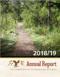 CMM Annual Report 2018-2019