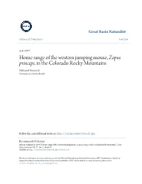 Home Range of the Western Jumping Mouse, Zapus Princeps, in the Colorado Rocky Mountains Nathaniel Stinson Jr