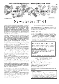 Newsletter Nº 61
