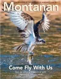 Come Fly with Us Get up Close and Personal with UM’S Most Famous Birds