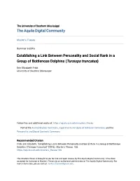 Establishing a Link Between Personality and Social Rank in a Group of Bottlenose Dolphins (Tursiops Truncatus)