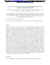 A Library of Nucleotide Analogues Terminate RNA Synthesis Catalyzed by Polymerases of Coronaviruses Causing SARS and COVID-19