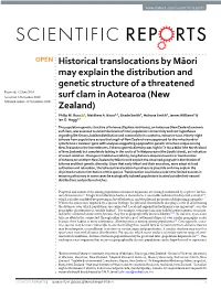 Historical Translocations by Māori May Explain the Distribution and Genetic