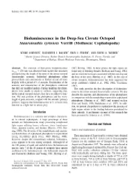 Bioluminescence in the Deep-Sea Cirrate Octopod Stauroteuthis Syrtensis Verrill (Mollusca: Cephalopoda)
