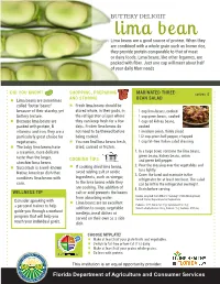 BUTTERY DELIGHT Lima Bean Lima Beans Are a Good Source of Protein