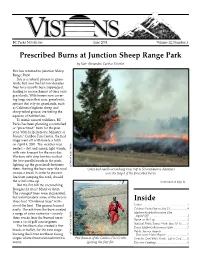Inside Prescribed Burns at Junction Sheep Range Park
